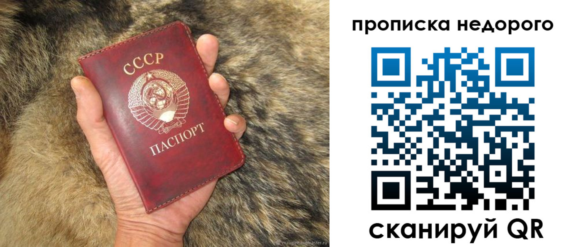 прописка для школы в Мыски